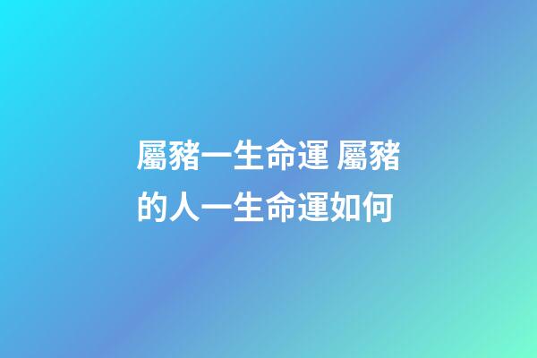 屬豬一生命運 屬豬的人一生命運如何-第1張-觀點-玄機派